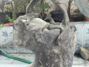 IMG 3784