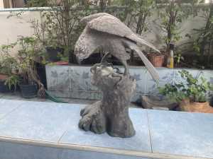 IMG 3785