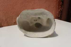 IMG 5650