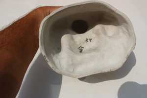 IMG 5651