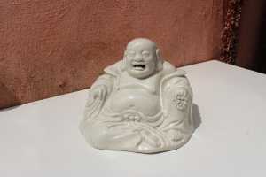 IMG 5645