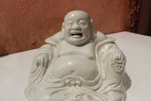 IMG 5649