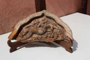 IMG 5744