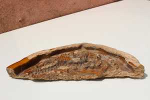 IMG 5747