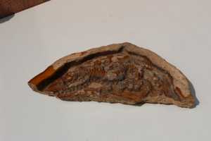 IMG 5748