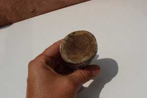 IMG 5714