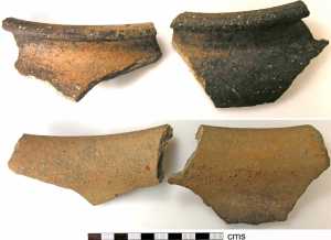 Early Medieval   Medieval shelly ware pottery rim sherds (FindID 155635)