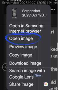 Screenshot 20251028 134249 Samsung capture Screenshot 20251028 134249 Samsung capture