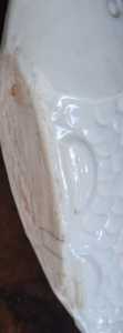 WhatsApp Image 2026 07 31 at 18.37.20