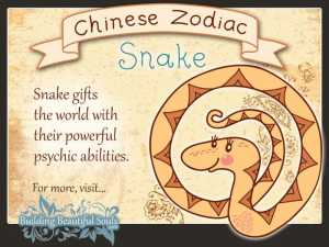 Year of the Snake Chinese Zodiac for Kids 1280x960 700x525 1044968058