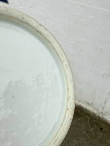 IMG 4923