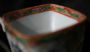 IMG 8601x