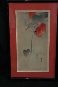 IMG 6767
