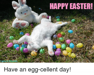 aption kitty happy easter have an egg cellent day 21103695