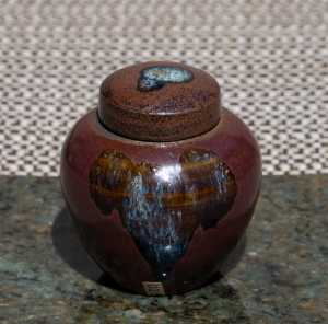 DSC5155