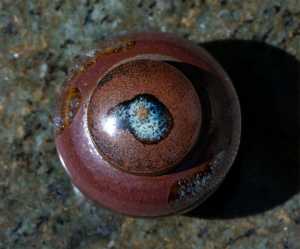  DSC5159
