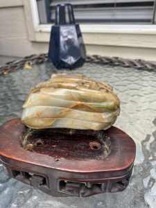 IMG 7800